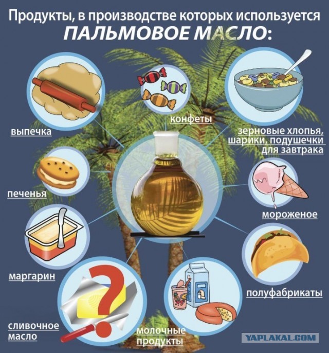 Как России слезть с «пальмы»: Почему вместо нормальных молочных продуктов нам предлагают суррогаты на основе пальмового масла