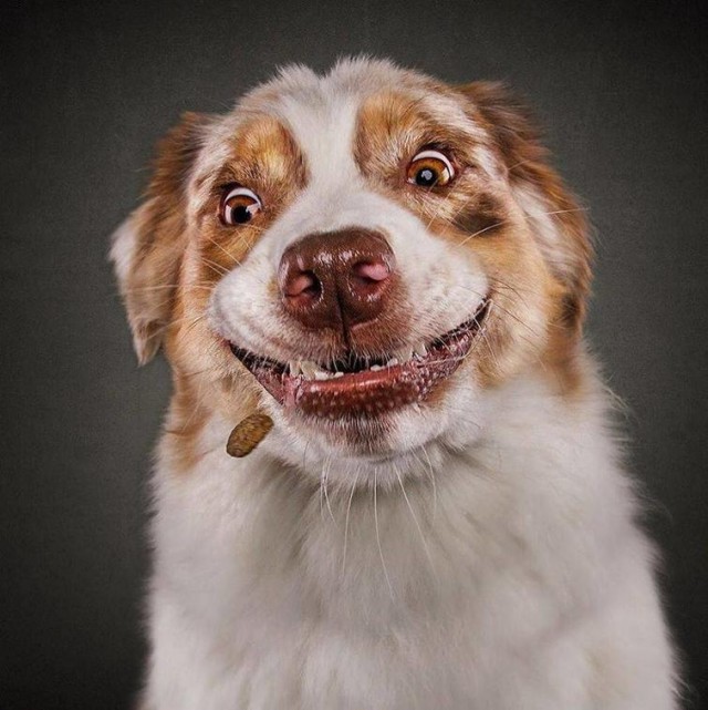 30 смешных и забавных фото для хорошего настроения, без которого никак нельзя