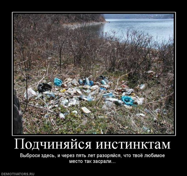 У мусора есть дом