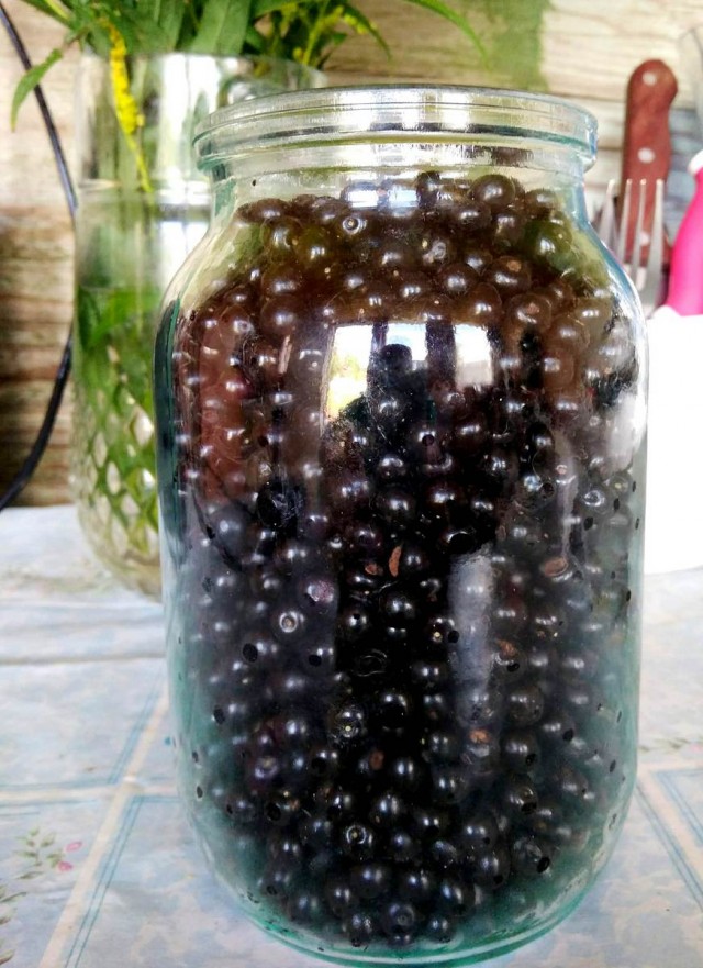 #ДРЯПнем! Уральские пирожки с черёмухой