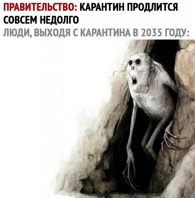 Чуток картинок 29.05.20