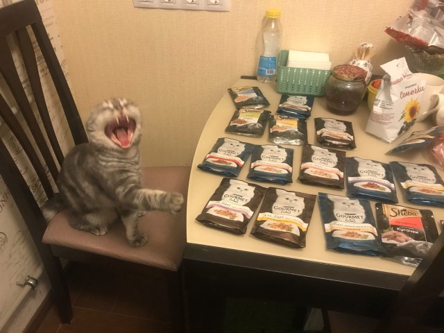Эти забавные животные