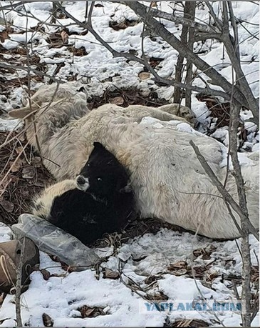 Когда ты остался один