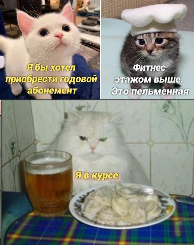 Картинки с надписями и всякие жизненные фразы 27.04.21