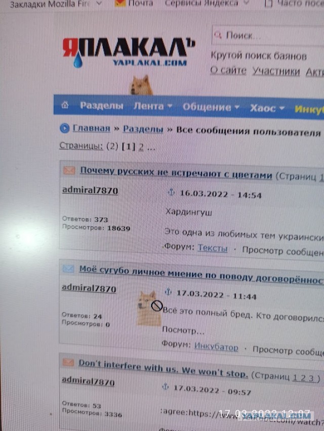 Как поймать собаку