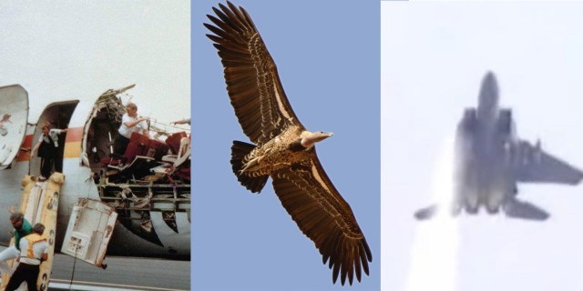 Посадка без одного крыла и с оторванной крышей. Топ опасных и странных авиаинцидентов с минимальными жертвами