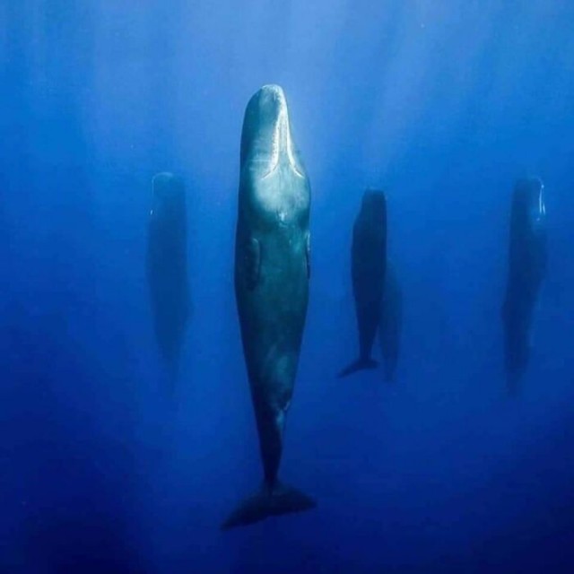 16 вещей со слегка тревожной аурой, о которых интересно, хоть и слегка жутковато узнавать