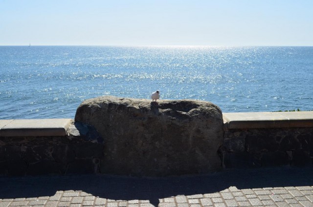 Как я катался на велике