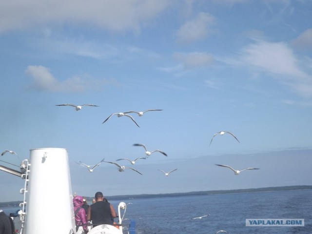 Русский север