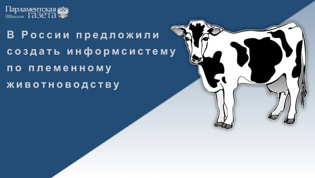 Победная поступь идиотизма по планете – том 11