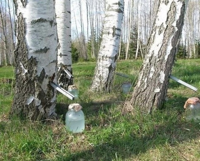 Фото из прошлого вперемешку