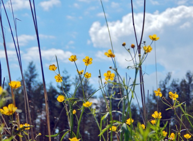 Природа Южного Урала