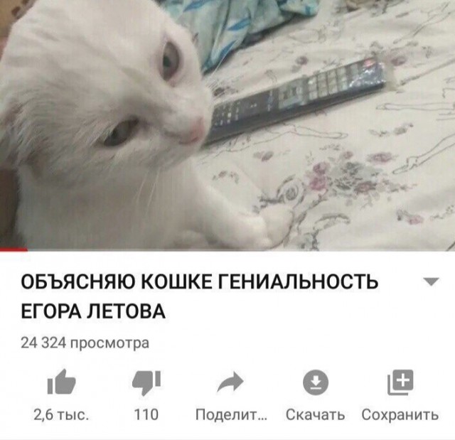 Всего понемногу. От 02.10.23