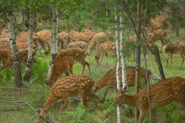 Сегодняшнее фото без затей