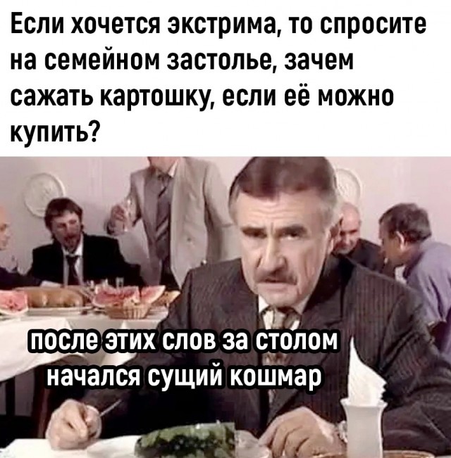 Весёлый полтишок 20.05.24