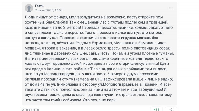 В Свердловской области дед потерял двоих внуков в лесу и пришел домой