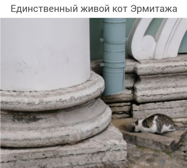 Санкт-Петербург. Наблюдения гостя