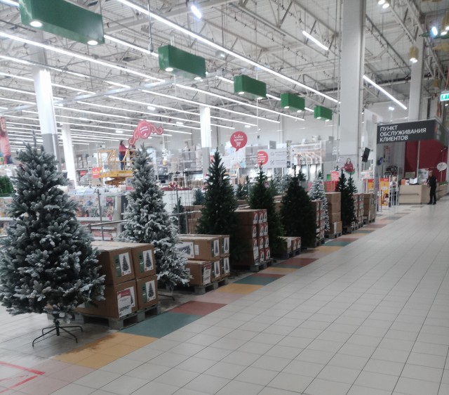 Сейчас октябрь, середина осени.