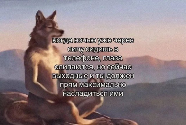 Веселые картинки в понедельник (19.05)
