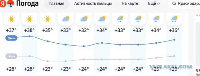 Вот что значит настоящая жара...