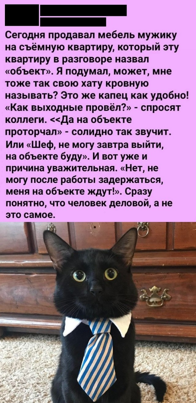 Так себе картинки 19.08.25