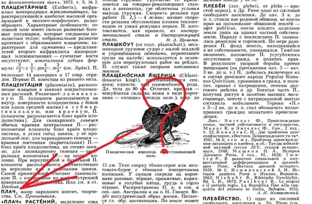 В русском языке нет слова «плацкарт»!