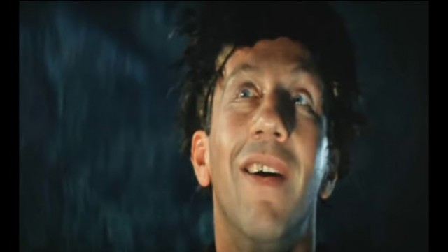 Пленные солдаты и офицеры вермахта после возвращения домой