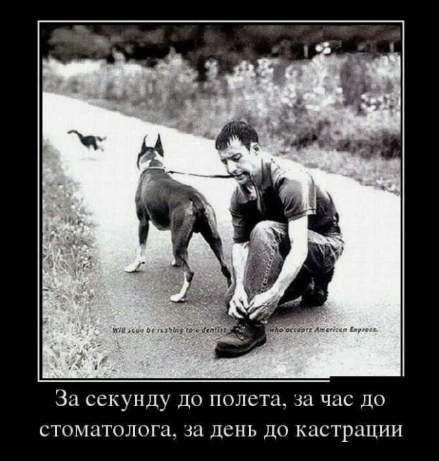 Мы поедем, мы помчимся...
