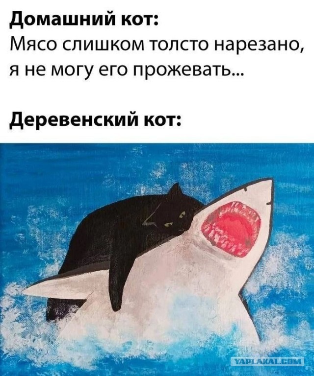 Переговоры зашли в тупик