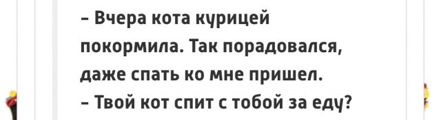 Кота, который каждый раз радостно «поёт», когда несётся к своей миске за едой, показала его хозяйка