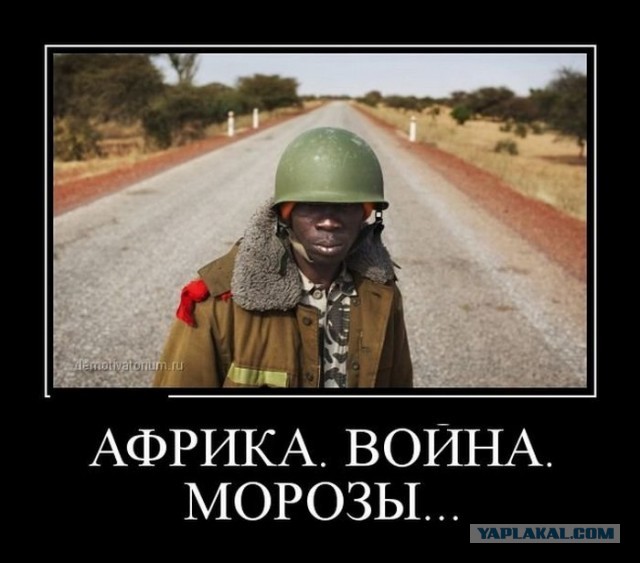 Пигмеи и сиротки в ЦАРе