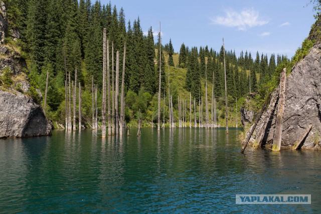 Озеро Каинды - Утонувший лес