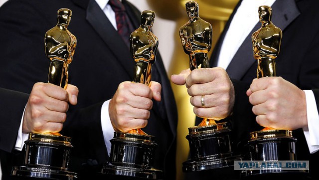 Террористы сдаются украинским войскам