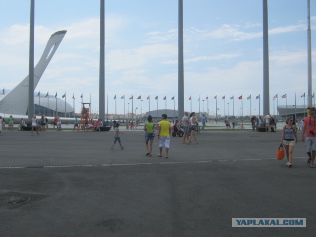 Как выглядит "Сочи Автодром"