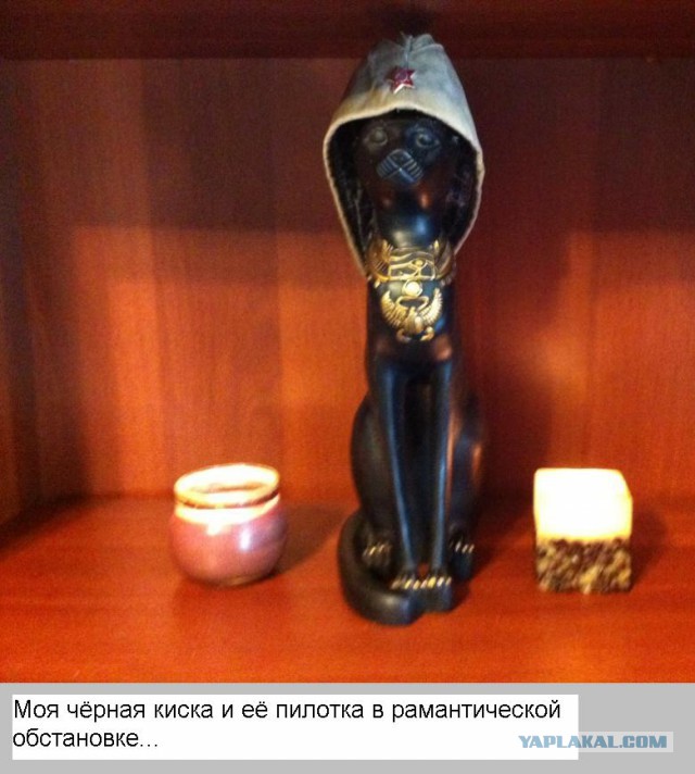 Смешные картинки, добавляйте свои!