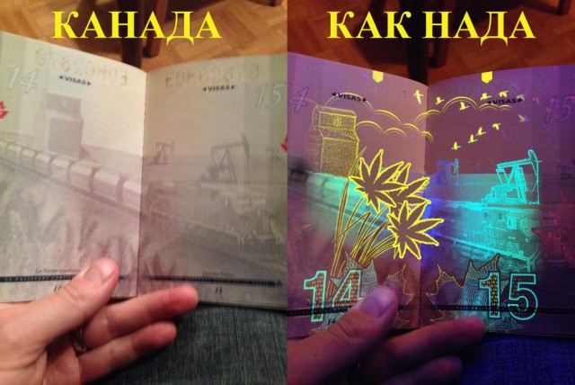 Новый паспорт гражданина Канады в ультрафиолете