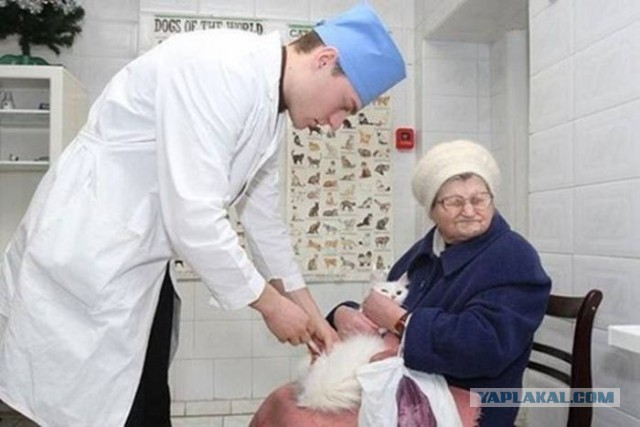 Больше, чем фото