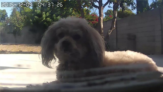 За что я люблю китайцев