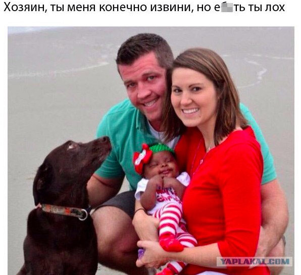 Когда ты слишком уверен в своём выборе