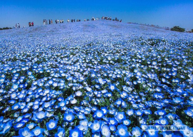 Очередная подборка фоток