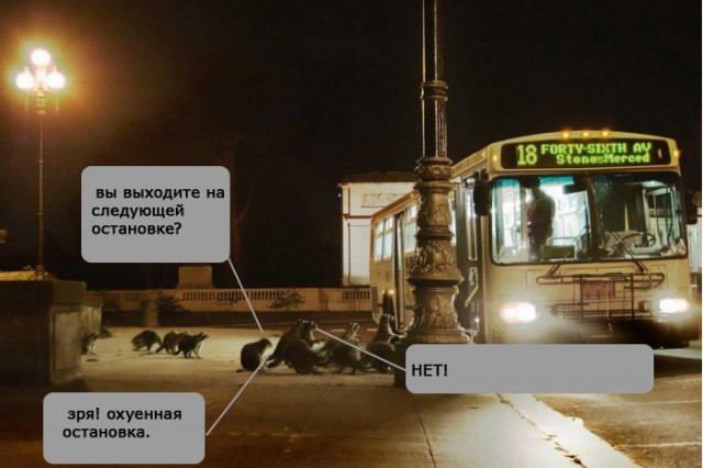 Юмор не для всех