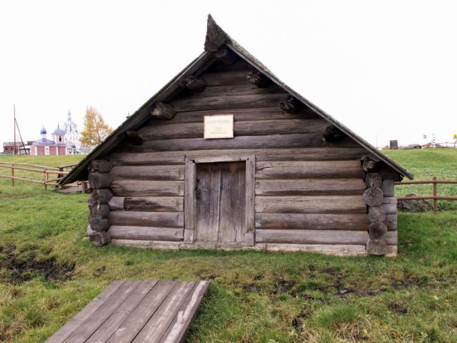Синячихи.