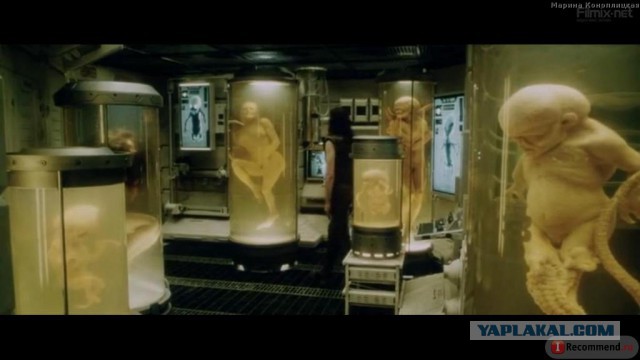 Братья Болдуины выглядят как неудачные клоны Алека Болдуина