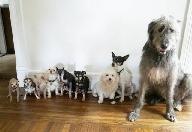 Снимки, которые растрогают даже того, у кого камень вместо сердца