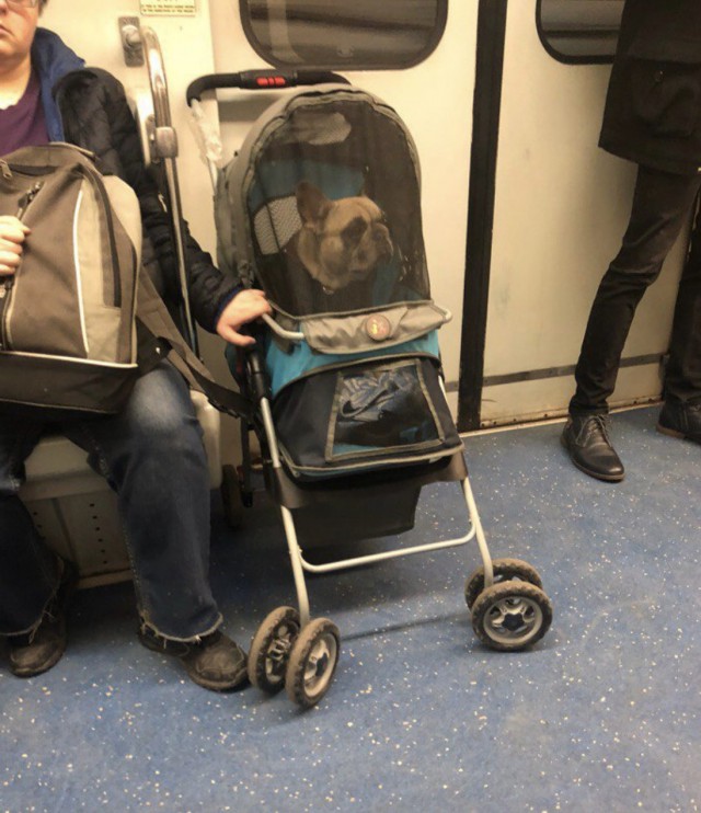 Чудики из социальных сетей