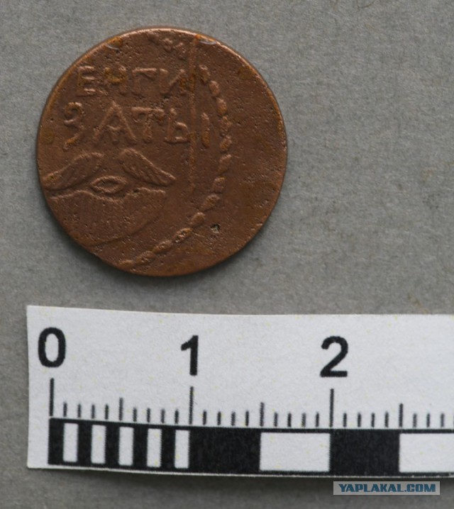 Бесценный жетон-монета - на право ношения бороды 1699 года!