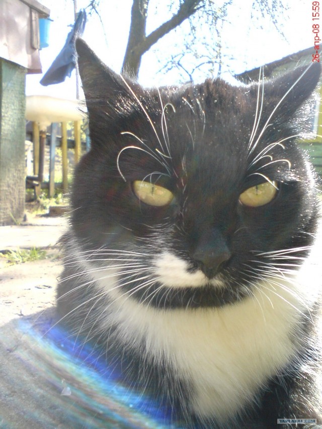 КОТовторник 13.04.2010г.