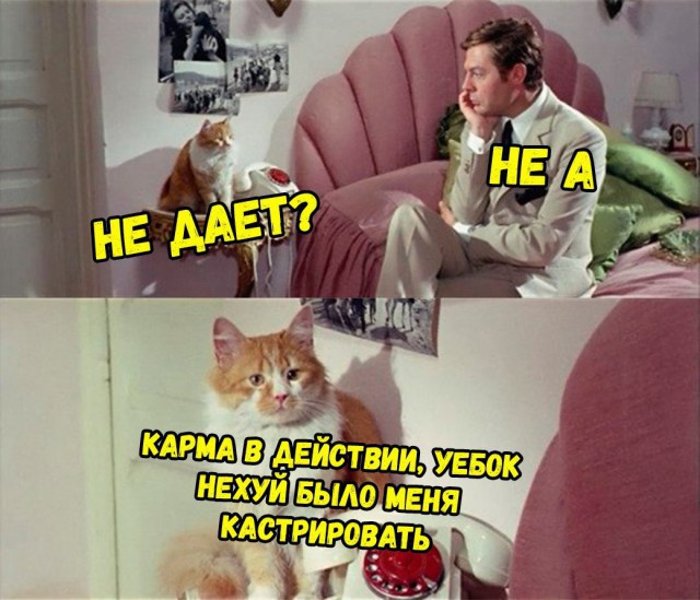 Немного картинок в этот четверг