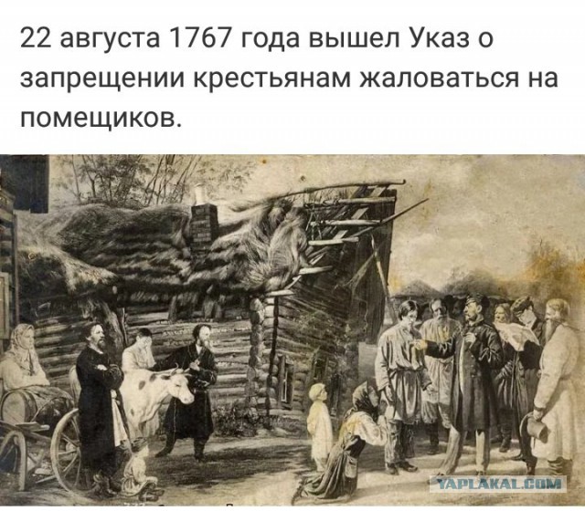 Кривые зеркала
