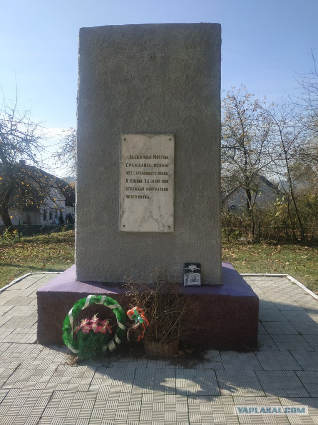ЯП вокруг света. Германия, Австралия, Китай...